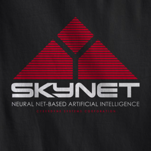 intranet professional services skynet